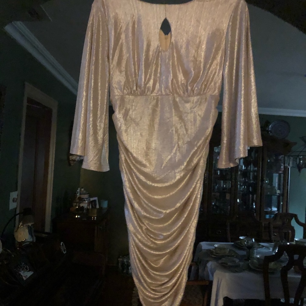 Brand new sheer gold rubbed fitted dress s